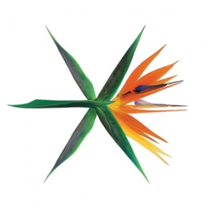 EXO 4th Album - THE WAR (KOREAN VER. / Random Ver) CD